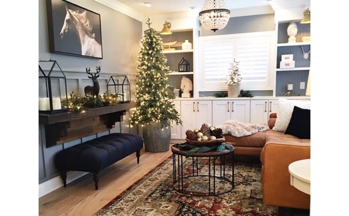 Family room with built-in shelving and plantation shutters.